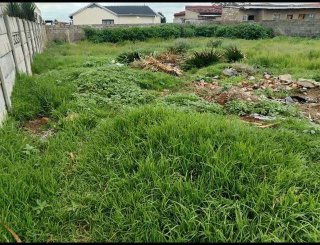 LAND FOR SALE IN VILLA LIZA